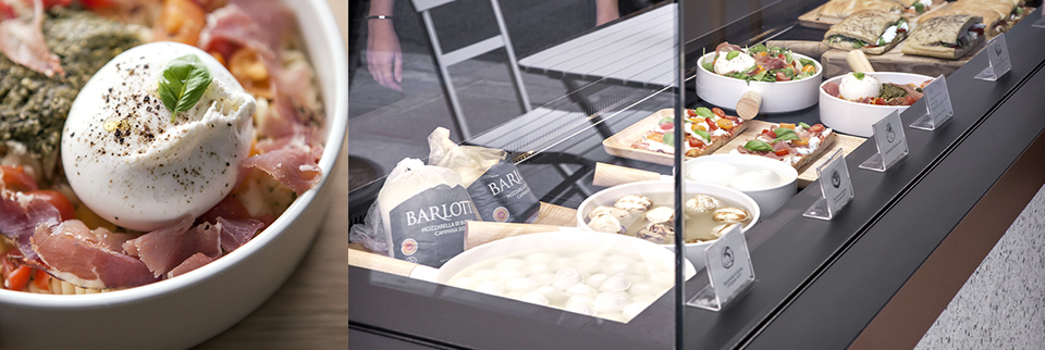 Mozza-and-Co-Concept